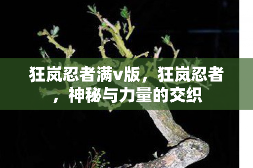 狂岚忍者满v版,狂岚忍者,神秘与力量的交织 狂岚忍者满v版,狂岚忍者,神秘与力量的交织