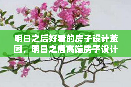 明日之后好看的房子设计蓝图,明日之后高端房子设计图纸,打造理想中的梦幻家园 明日之后好看的房子设计蓝图,明日之后高端房子设计图纸,打造理想中的梦幻家园