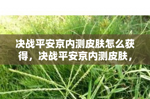 决战平安京内测皮肤怎么获得,决战平安京内测皮肤,探索神秘与惊喜的旅程 决战平安京内测皮肤怎么获得,决战平安京内测皮肤,探索神秘与惊喜的旅程