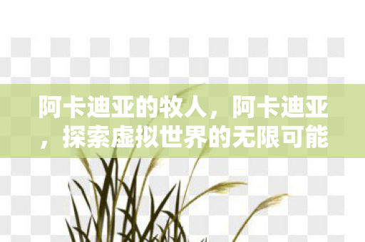 阿卡迪亚的牧人，阿卡迪亚，探索虚拟世界的无限可能