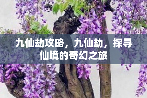 九仙劫攻略，九仙劫，探寻仙境的奇幻之旅