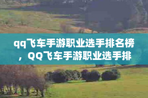 qq飞车手游职业选手排名榜,QQ飞车手游职业选手排名,顶尖车手的荣耀与实力 qq飞车手游职业选手排名榜,QQ飞车手游职业选手排名,顶尖车手的荣耀与实力