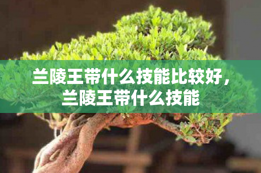 兰陵王带什么技能比较好,兰陵王带什么技能 兰陵王带什么技能比较好,兰陵王带什么技能