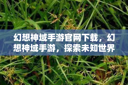 幻想神域手游官网下载,幻想神域手游,探索未知世界的奇幻之旅 幻想神域手游官网下载,幻想神域手游,探索未知世界的奇幻之旅