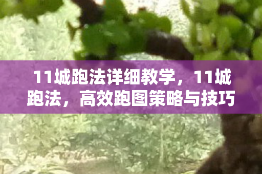 11城跑法详细教学,11城跑法,高效跑图策略与技巧 11城跑法详细教学,11城跑法,高效跑图策略与技巧