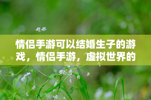 情侣手游可以结婚生子的游戏,情侣手游,虚拟世界的浪漫婚姻与育儿体验 情侣手游可以结婚生子的游戏,情侣手游,虚拟世界的浪漫婚姻与育儿体验