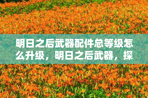 明日之后武器配件总等级怎么升级，明日之后武器，探索生存世界的利器