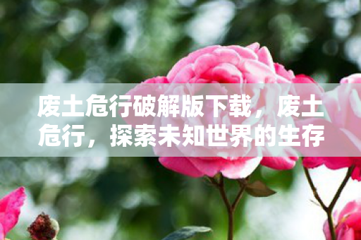 废土危行破解版下载,废土危行,探索未知世界的生存挑战 废土危行破解版下载,废土危行,探索未知世界的生存挑战