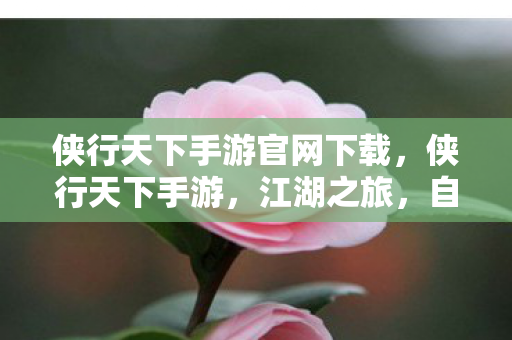 侠行天下手游官网下载,侠行天下手游,江湖之旅,自由探索的武侠世界 侠行天下手游官网下载,侠行天下手游,江湖之旅,自由探索的武侠世界