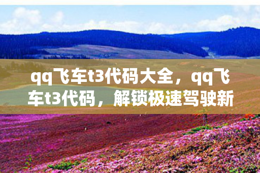 qq飞车t3代码大全，qq飞车t3代码，解锁极速驾驶新体验