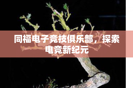 同福电子竞技俱乐部,探索电竞新纪元 同福电子竞技俱乐部,探索电竞新纪元
