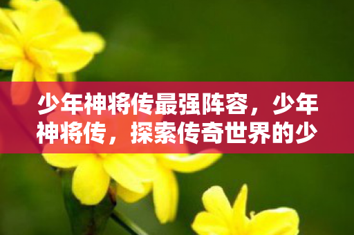 少年神将传最强阵容,少年神将传,探索传奇世界的少年英雄 少年神将传最强阵容,少年神将传,探索传奇世界的少年英雄