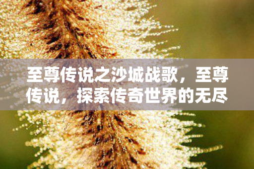 至尊传说之沙城战歌,至尊传说,探索传奇世界的无尽奥秘 至尊传说之沙城战歌,至尊传说,探索传奇世界的无尽奥秘