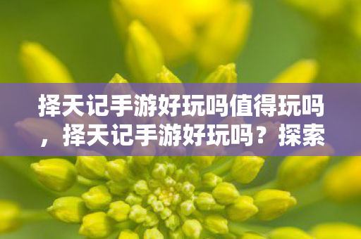 择天记手游好玩吗值得玩吗,择天记手游好玩吗?探索奇幻世界的乐趣 择天记手游好玩吗值得玩吗,择天记手游好玩吗?探索奇幻世界的乐趣