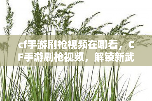 cf手游刷枪视频在哪看,CF手游刷枪视频,解锁新武器,提升战斗力的秘密 cf手游刷枪视频在哪看,CF手游刷枪视频,解锁新武器,提升战斗力的秘密