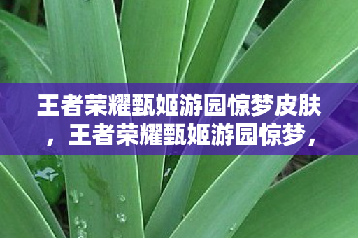 王者荣耀甄姬游园惊梦皮肤,王者荣耀甄姬游园惊梦,解锁古风美学的数字藏品 王者荣耀甄姬游园惊梦皮肤,王者荣耀甄姬游园惊梦,解锁古风美学的数字藏品