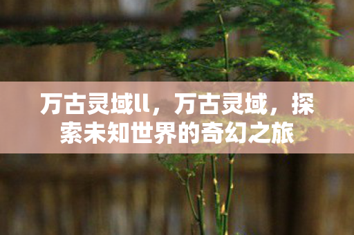 万古灵域ll,万古灵域,探索未知世界的奇幻之旅 万古灵域ll,万古灵域,探索未知世界的奇幻之旅