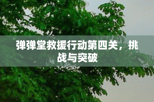 弹弹堂救援行动第四关，挑战与突破