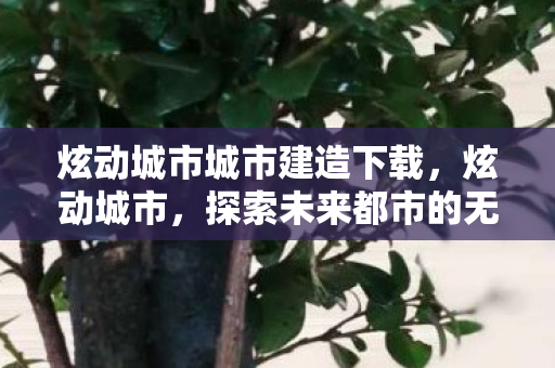 炫动城市城市建造下载，炫动城市，探索未来都市的无限可能