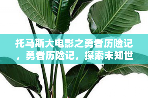 托马斯大电影之勇者历险记,勇者历险记,探索未知世界的奇幻之旅 托马斯大电影之勇者历险记,勇者历险记,探索未知世界的奇幻之旅
