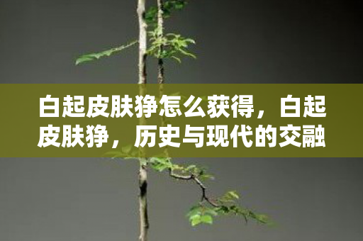 白起皮肤狰怎么获得,白起皮肤狰,历史与现代的交融 白起皮肤狰怎么获得,白起皮肤狰,历史与现代的交融