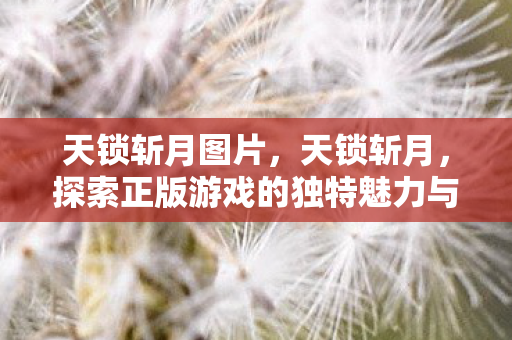天锁斩月图片,天锁斩月,探索正版游戏的独特魅力与社区生态 天锁斩月图片,天锁斩月,探索正版游戏的独特魅力与社区生态