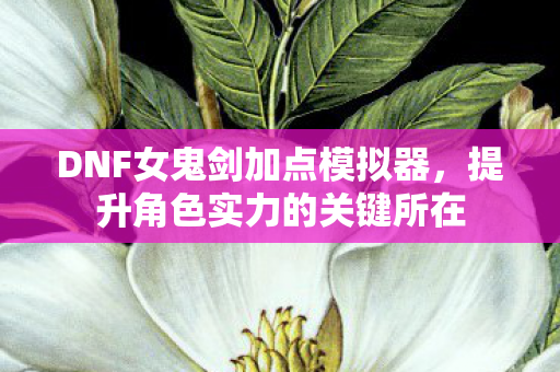 DNF女鬼剑加点模拟器,提升角色实力的关键所在 DNF女鬼剑加点模拟器,提升角色实力的关键所在