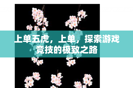 上单五虎，上单，探索游戏竞技的极致之路