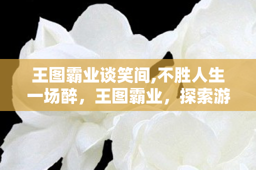 王图霸业谈笑间,不胜人生一场醉,王图霸业,探索游戏世界的无限可能 王图霸业谈笑间,不胜人生一场醉,王图霸业,探索游戏世界的无限可能