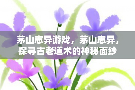 茅山志异游戏,茅山志异,探寻古老道术的神秘面纱 茅山志异游戏,茅山志异,探寻古老道术的神秘面纱