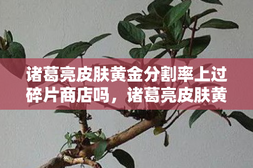 诸葛亮皮肤黄金分割率上过碎片商店吗,诸葛亮皮肤黄金分割率,深度解析其独特魅力与游戏内价值 诸葛亮皮肤黄金分割率上过碎片商店吗,诸葛亮皮肤黄金分割率,深度解析其独特魅力与游戏内价值