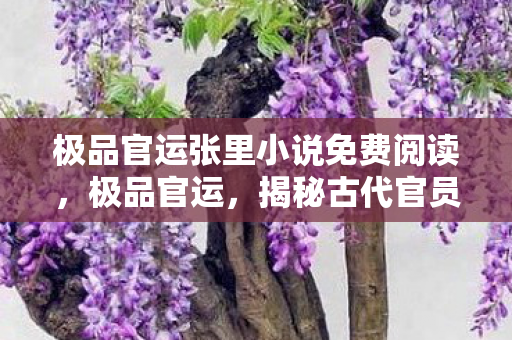极品官运张里小说免费阅读,极品官运,揭秘古代官员升迁的奥秘 极品官运张里小说免费阅读,极品官运,揭秘古代官员升迁的奥秘