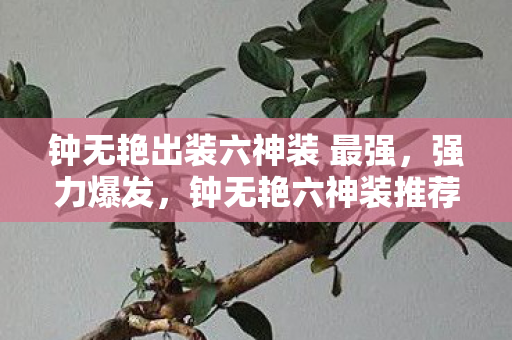 钟无艳出装六神装 最强,强力爆发,钟无艳六神装推荐 钟无艳出装六神装 最强,强力爆发,钟无艳六神装推荐