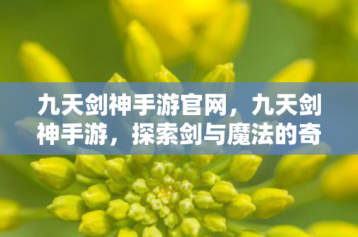 九天剑神手游官网,九天剑神手游,探索剑与魔法的奇幻世界 九天剑神手游官网,九天剑神手游,探索剑与魔法的奇幻世界