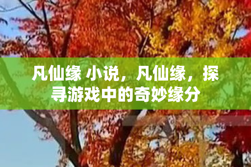 凡仙缘 小说,凡仙缘,探寻游戏中的奇妙缘分 凡仙缘 小说,凡仙缘,探寻游戏中的奇妙缘分