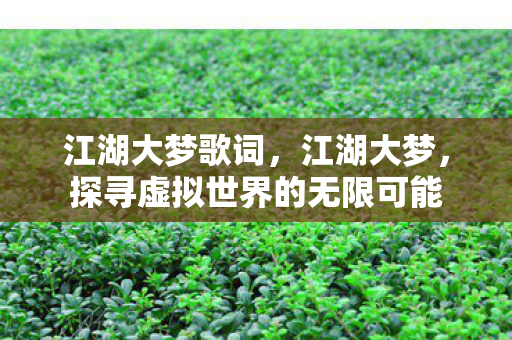 江湖大梦歌词,江湖大梦,探寻虚拟世界的无限可能 江湖大梦歌词,江湖大梦,探寻虚拟世界的无限可能