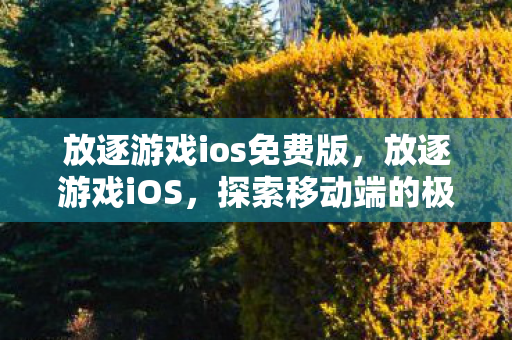 放逐游戏ios免费版，放逐游戏iOS，探索移动端的极致游戏体验
