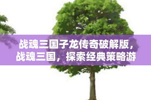 战魂三国子龙传奇破解版,战魂三国,探索经典策略游戏的魅力 战魂三国子龙传奇破解版,战魂三国,探索经典策略游戏的魅力