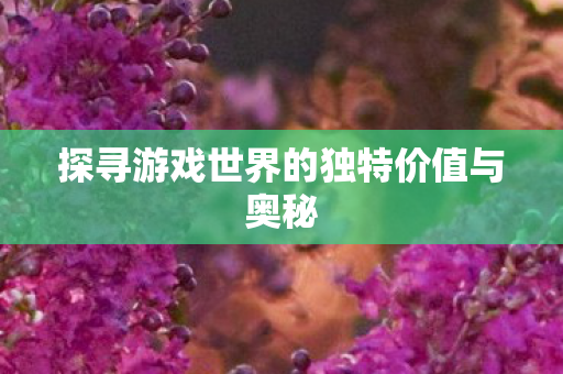 探寻游戏世界的独特价值与奥秘 探寻游戏世界的独特价值与奥秘