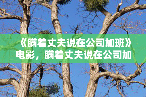 《瞒着丈夫说在公司加班》电影,瞒着丈夫说在公司加班 《瞒着丈夫说在公司加班》电影,瞒着丈夫说在公司加班