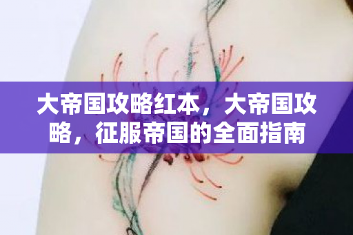 大帝国攻略红本,大帝国攻略,征服帝国的全面指南 大帝国攻略红本,大帝国攻略,征服帝国的全面指南