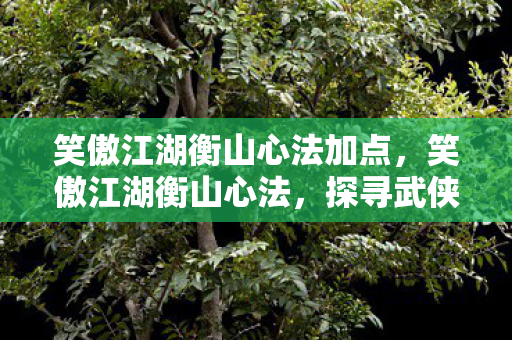 笑傲江湖衡山心法加点，笑傲江湖衡山心法，探寻武侠世界的内功精髓