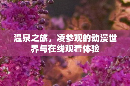 温泉之旅,凌参观的动漫世界与在线观看体验 温泉之旅,凌参观的动漫世界与在线观看体验