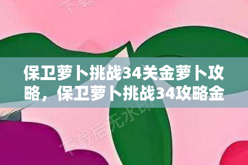保卫萝卜挑战34关金萝卜攻略,保卫萝卜挑战34攻略金萝卜布阵图 保卫萝卜挑战34关金萝卜攻略,保卫萝卜挑战34攻略金萝卜布阵图