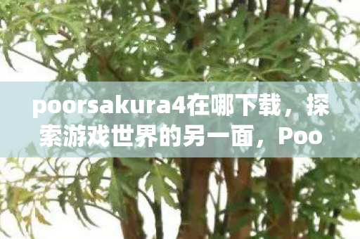 poorsakura4在哪下载,探索游戏世界的另一面,Poorsakura4的独特魅力 poorsakura4在哪下载,探索游戏世界的另一面,Poorsakura4的独特魅力