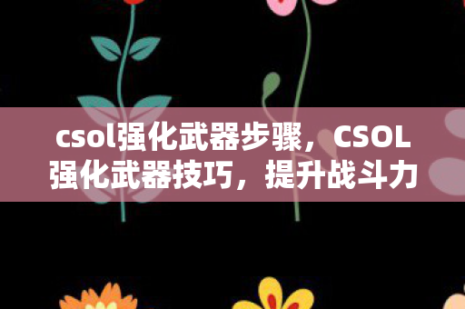 csol强化武器步骤,CSOL强化武器技巧,提升战斗力的关键步骤 csol强化武器步骤,CSOL强化武器技巧,提升战斗力的关键步骤