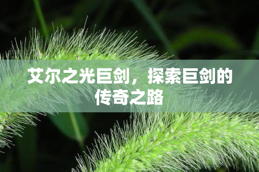 艾尔之光巨剑,探索巨剑的传奇之路 艾尔之光巨剑,探索巨剑的传奇之路