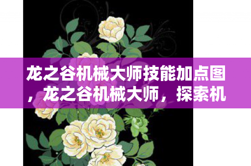 龙之谷机械大师技能加点图,龙之谷机械大师,探索机械之心的奥秘 龙之谷机械大师技能加点图,龙之谷机械大师,探索机械之心的奥秘