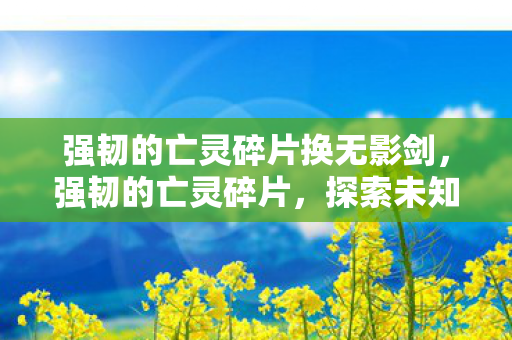 强韧的亡灵碎片换无影剑,强韧的亡灵碎片,探索未知世界的神秘力量 强韧的亡灵碎片换无影剑,强韧的亡灵碎片,探索未知世界的神秘力量