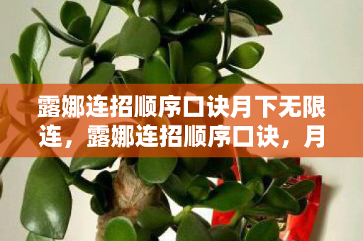 露娜连招顺序口诀月下无限连，露娜连招顺序口诀，月下无限连，秀翻全场